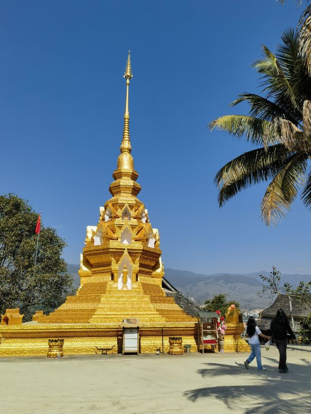 西双版纳独树成林景区旅行图片 3
