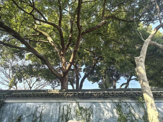 鲁迅故里旅行图片 1
