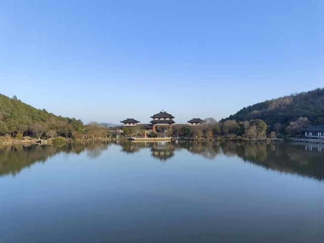 上海海湾国家森林公园旅行图片 8