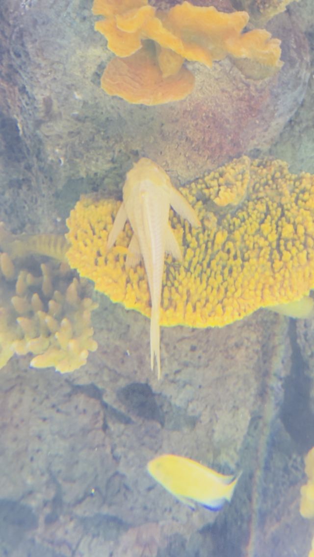 昆明海趣花都海洋世界旅行图片 2