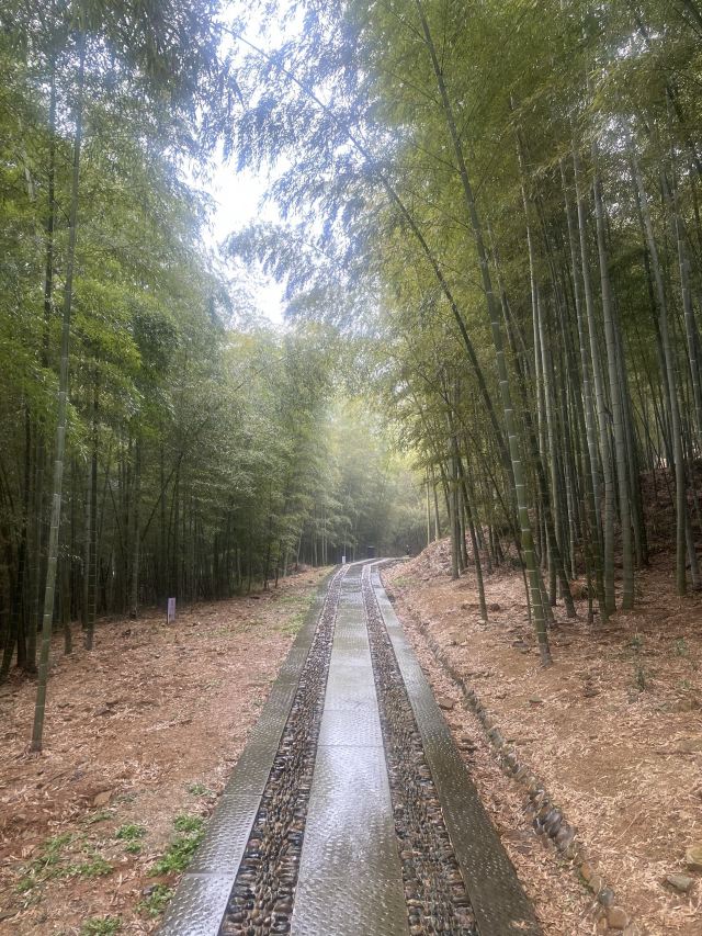 兰亭景区旅行图片 4