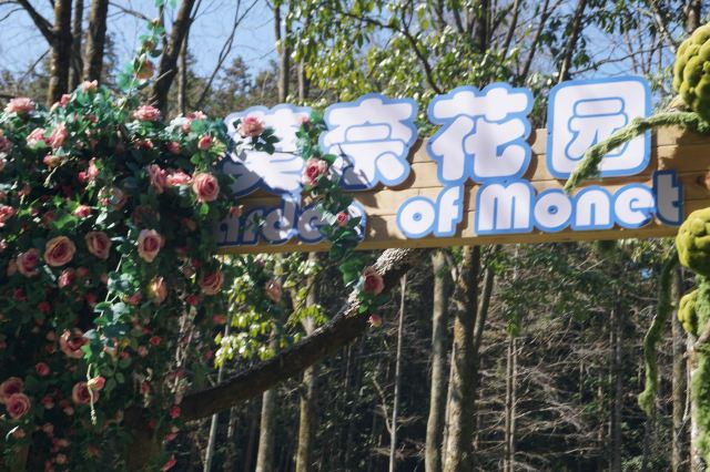 灵栖洞旅行图片 4