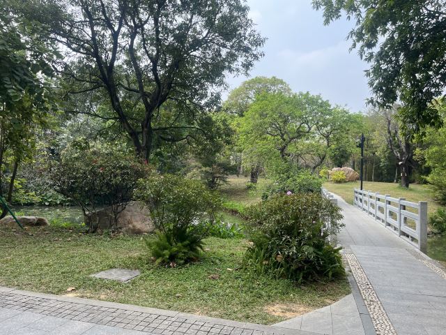 广州海珠国家湿地公园旅行图片 6
