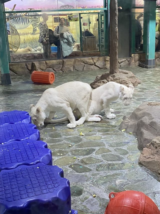 哈尔滨极地公园旅行图片 3