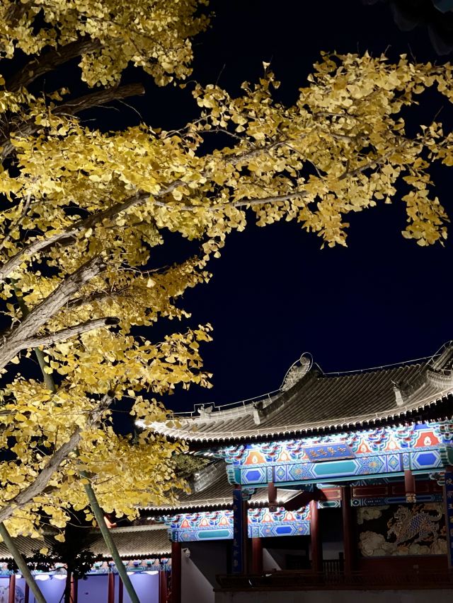 无想水镇景区旅行图片 7