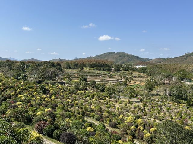云舍松涛·海南中国村旅行图片 6