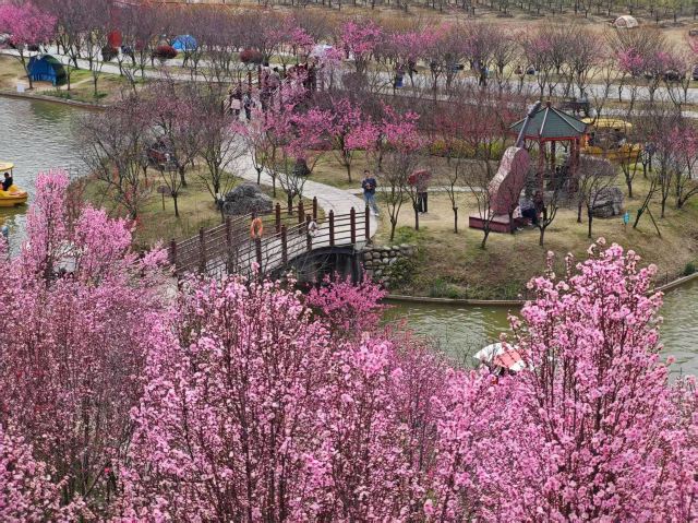 音乐·百花谷旅行图片 3