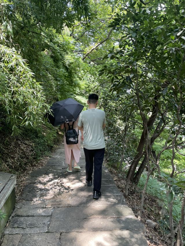 亭林园旅行图片 2