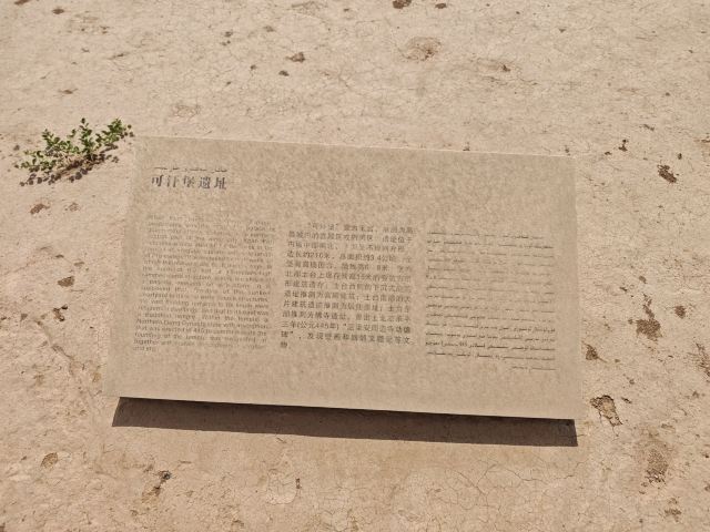 高昌故城旅行图片 1