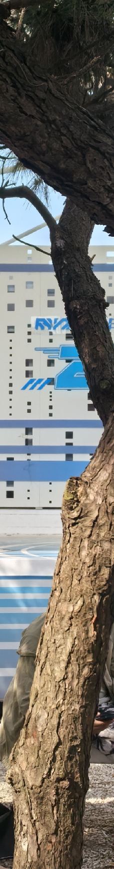 星岛·桃花岛风景区-日照-ENSI