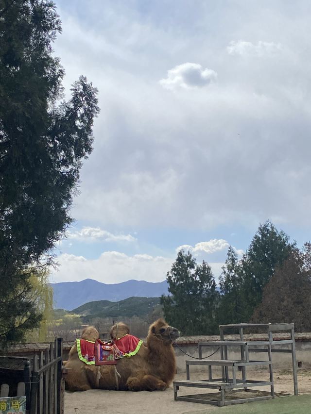 北京圣泉山旅游风景区旅行图片 1
