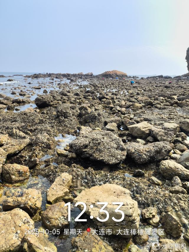棒棰岛旅行图片 4