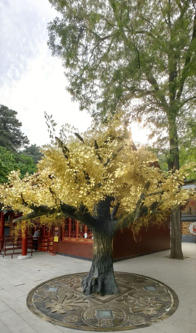 青岩寺风景区旅行图片 9