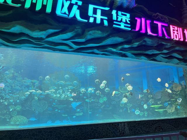 徐州欧乐堡海洋极地世界旅行图片 1