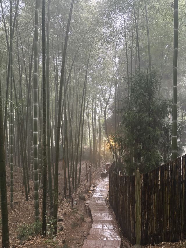 成都天台山旅游景区旅行图片 2