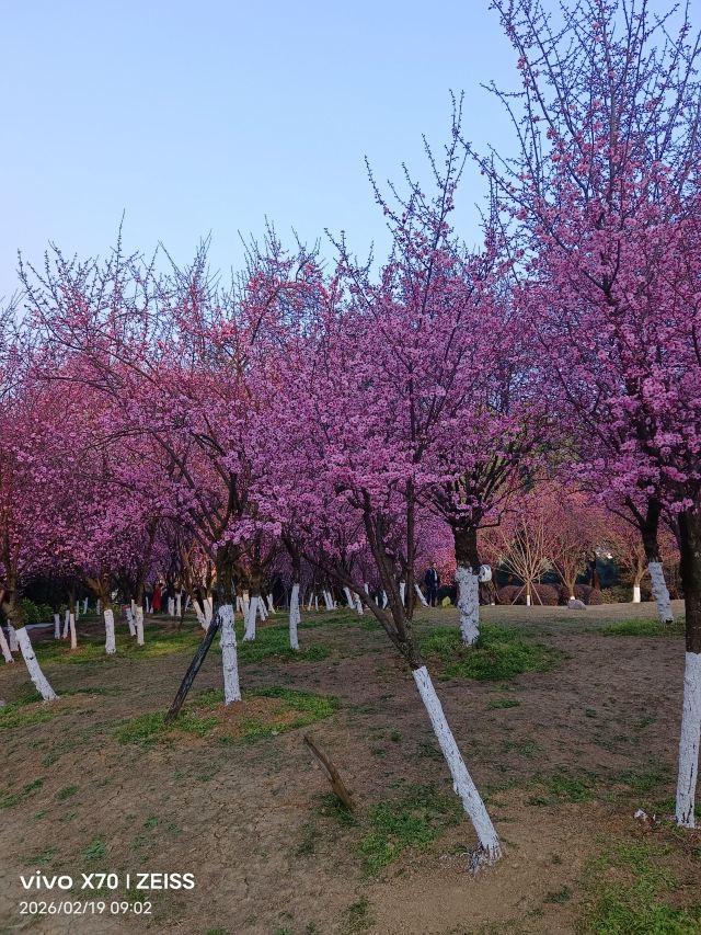 成都植物园旅行图片 3