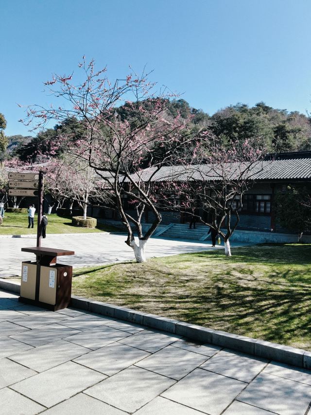 人间弥勒旅行图片 3