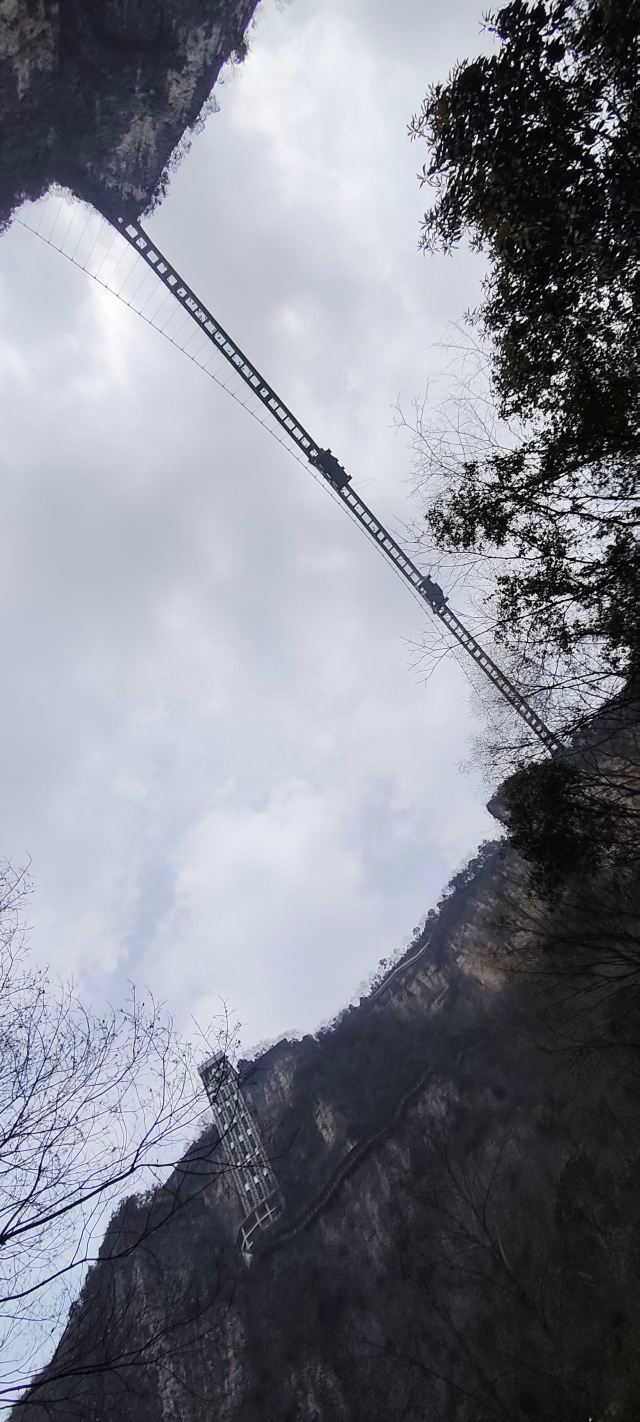 张家界大峡谷旅行图片 2