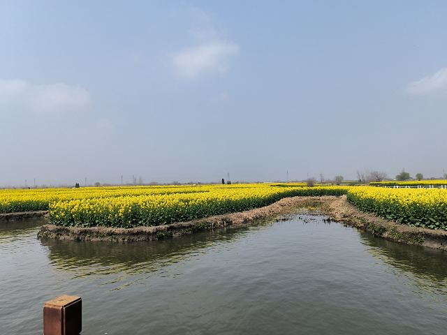 千垛景区旅行图片 1