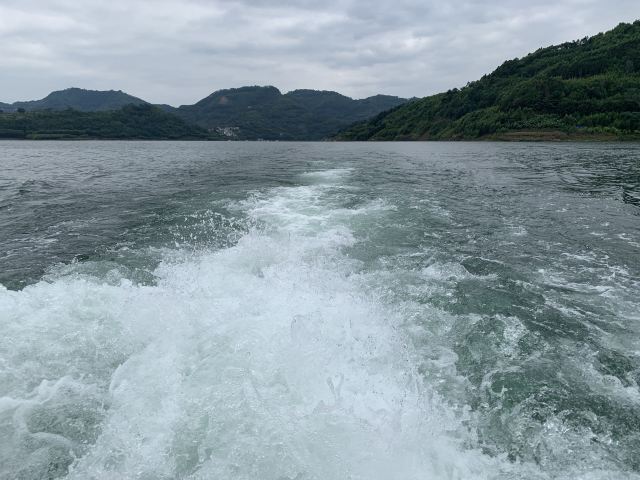 万峰湖红椿船舶旅游乘船区旅行图片 1