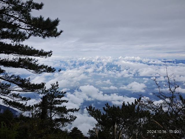 天岳幕阜山森林公园旅行图片 4