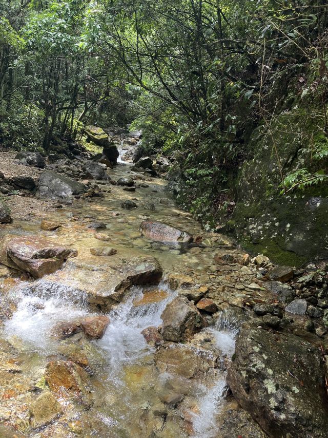 箬寮原始森林旅行图片 5