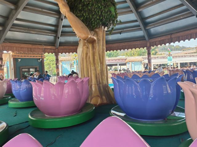 长沙湘江海洋王国旅行图片 1