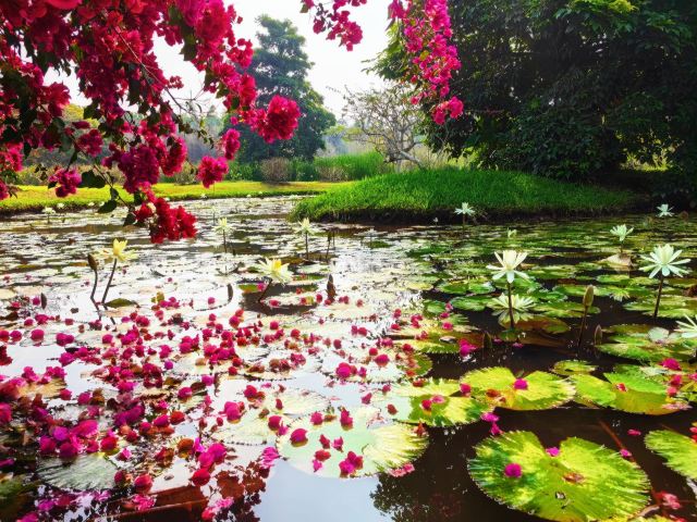 曼听御花园景区旅行图片 1