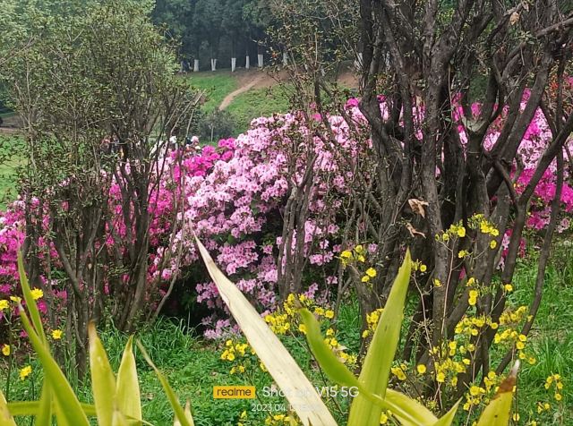 贵阳药用植物园旅行图片 6