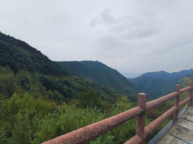 天台国家森林公园天台山索道旅行图片 5