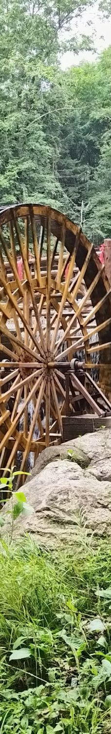 铧子山森林公园-通河-YoYo_1M2K3B2I