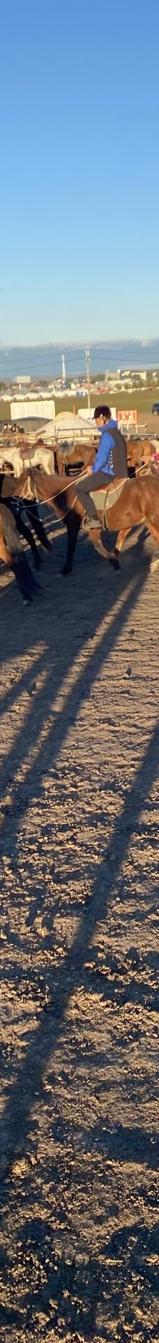 额尔古纳-jack888001