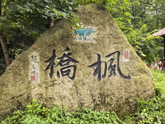 大冰沟国家地质森林公园旅行图片 3