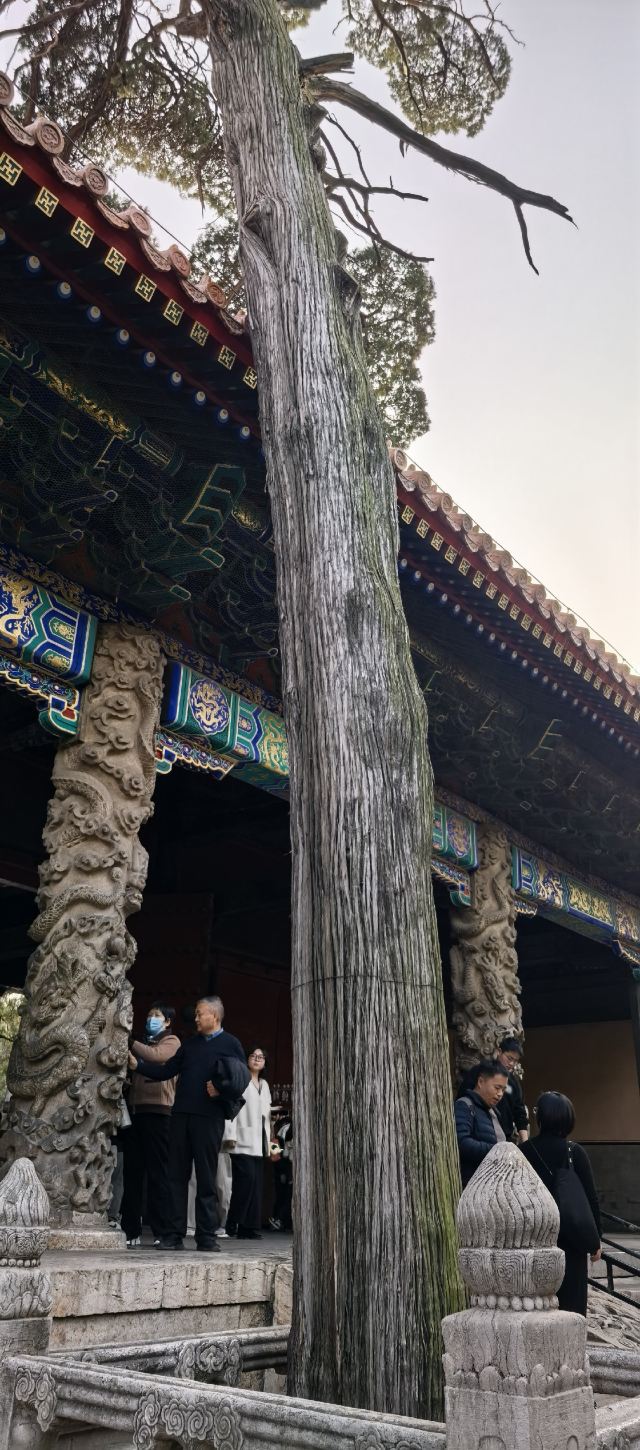 孔庙旅行图片 6
