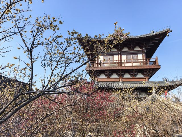 北固山公园旅行图片 9