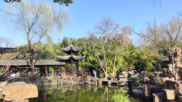 个园旅行图片 1