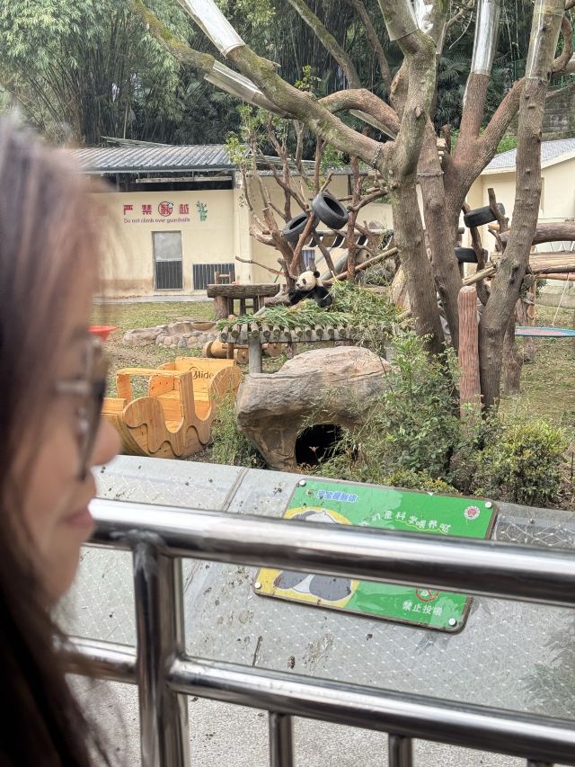 重庆动物园旅行图片 3
