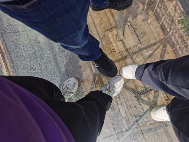 宝山前野生动物园旅行图片 4
