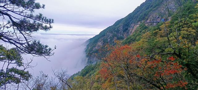 天岳幕阜山森林公园旅行图片 3
