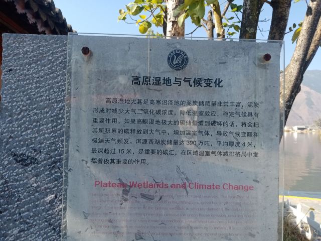 大理西湖旅行图片 2