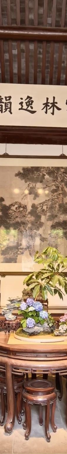 狮子林-苏州-YoYo_1H1Y7F9E