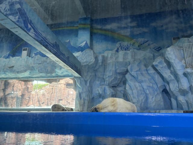 福州欧乐堡海洋世界旅行图片 1