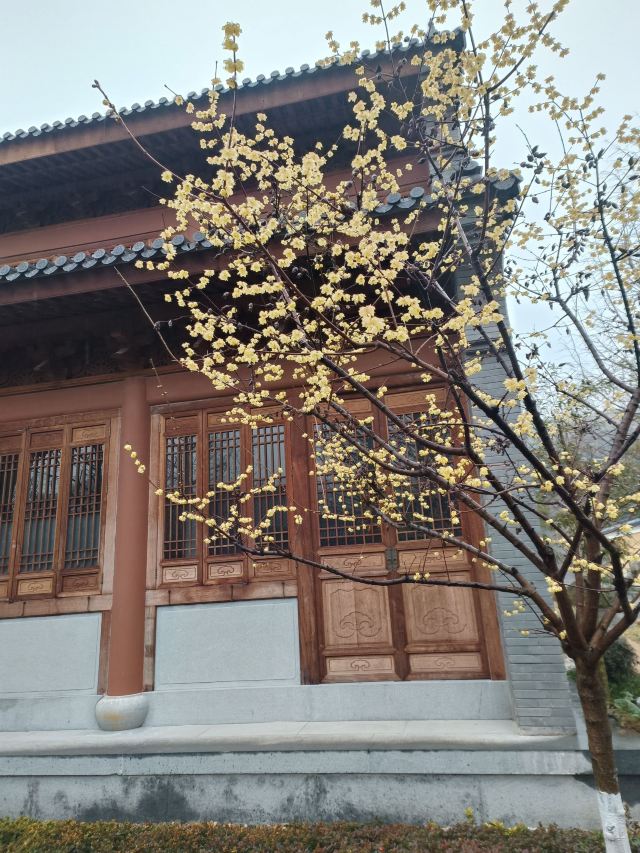 人间弥勒旅行图片 2