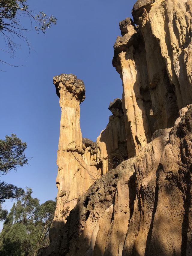 土林旅行图片 7