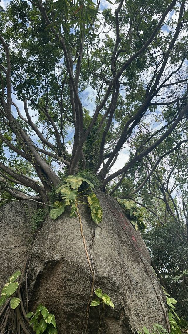 天涯海角游览区旅行图片 5