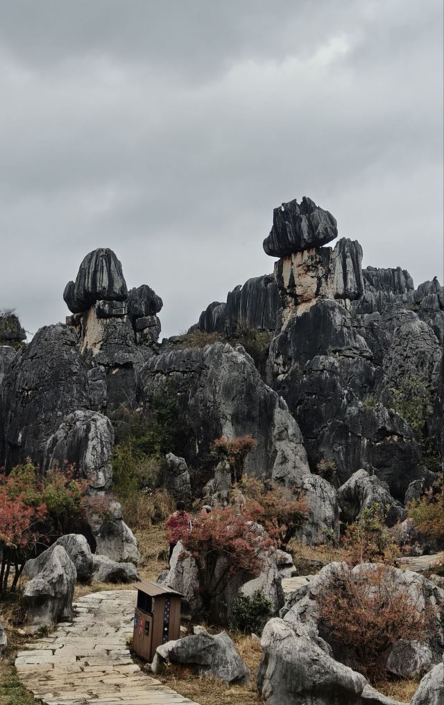 石林风景区旅行图片 3