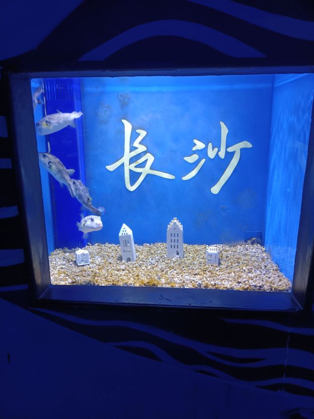 长沙湘江海洋王国旅行图片 2