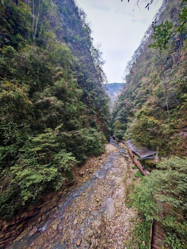 张家界大峡谷旅行图片 3