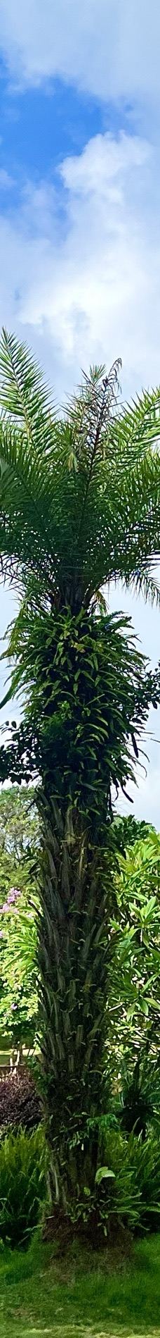 南宁动物园-南宁-🐯laohu_wong宝宝