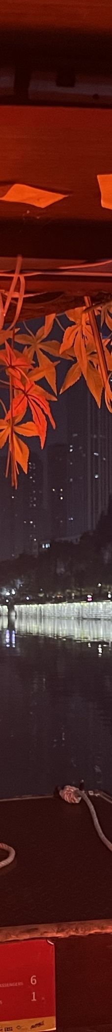 成都-YoYo_6C5G2A1M